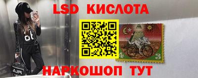 винт Партизанск