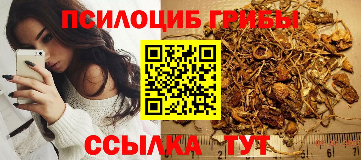 Галлюциногенные грибы мицелий Партизанск