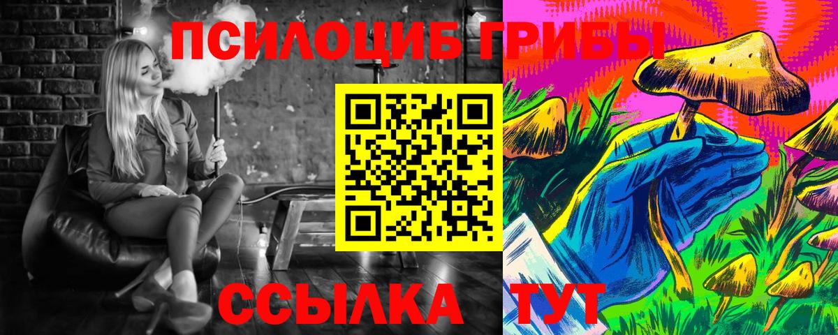 дарнет шоп  Вход с VPN  Партизанск  Галлюциногенные грибы мицелий 